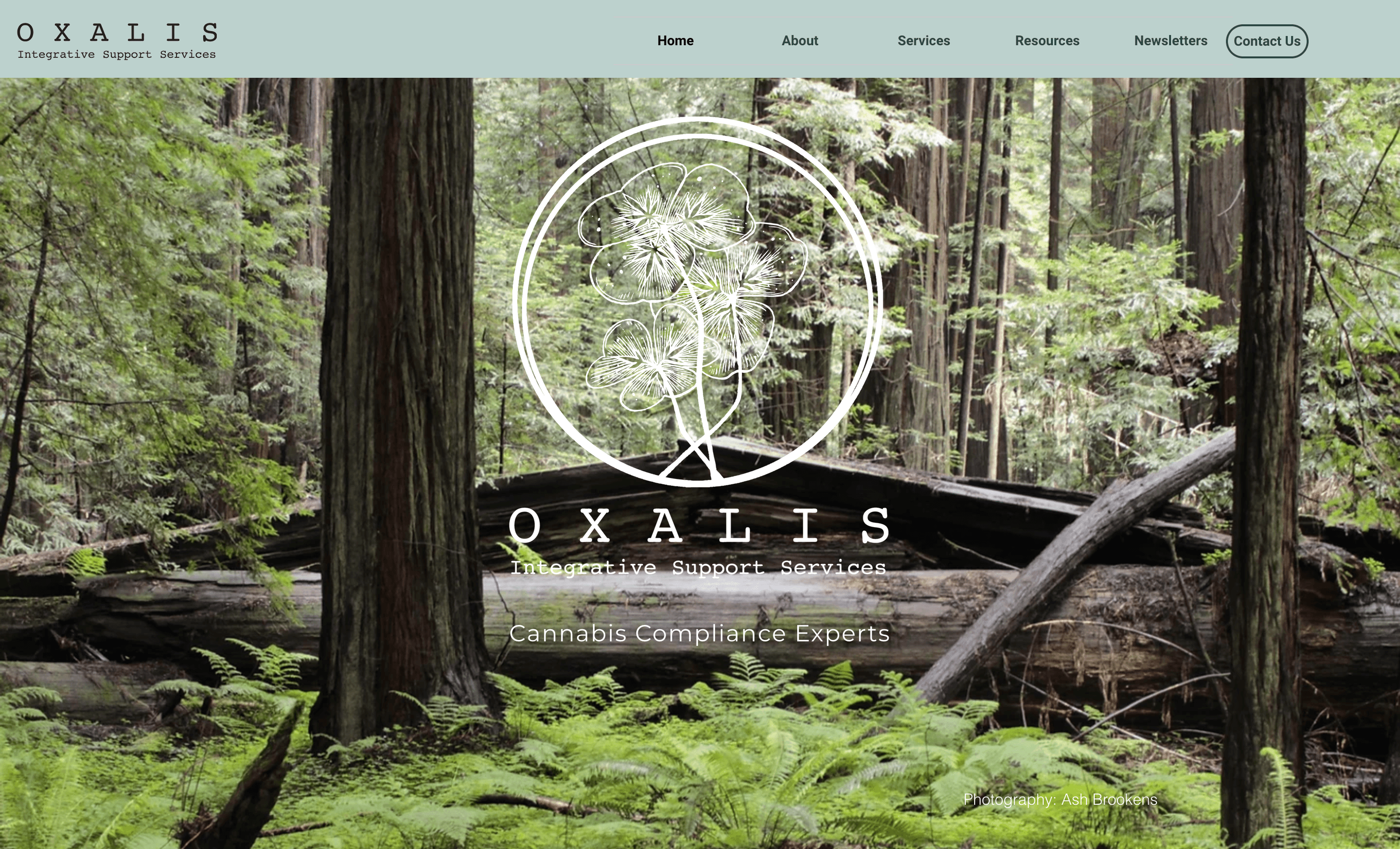 Oxalis